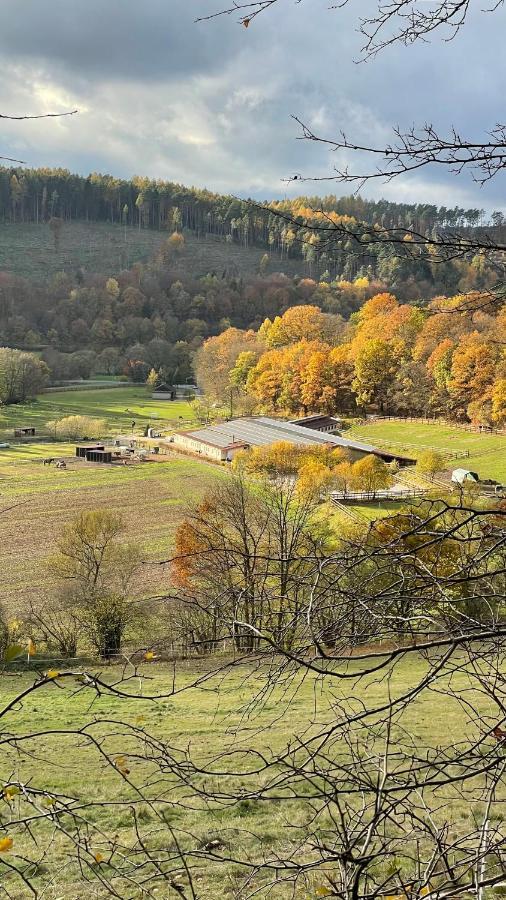 Ferienapartments Reitanlage Schenksolz